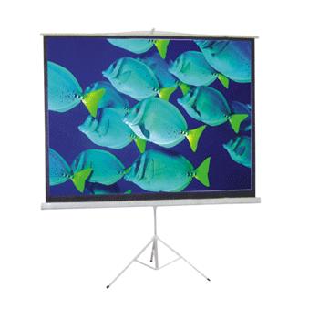 Tripod Screen